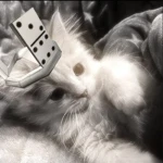 Trixy's Group Thumbnail