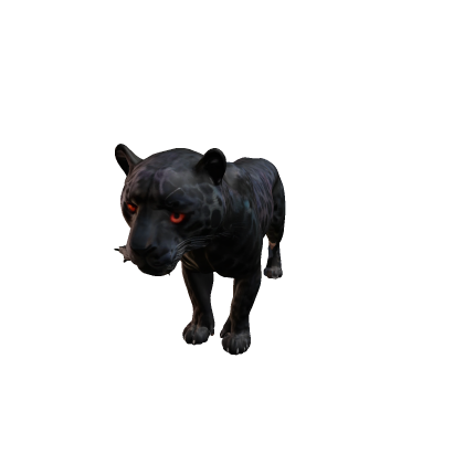 shadow panther pet