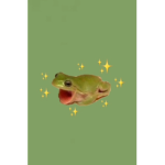 The Froggy Clothing!