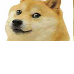 Meeting Center - Doge Paradise