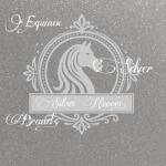 Equinox Silver Brand