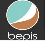 -Bepis Gang-