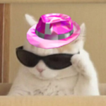 Hello my fan club