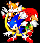 •The Sonic Fighters•