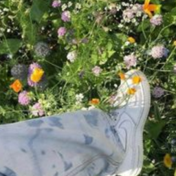 ⋆.°🦋༘⋆