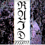 Nooby--Oficial-estudio