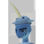 NARWHAL RAID