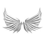 White Angel Wings