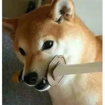 pffffftttt