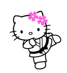- evies karate dojo