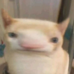 CIementines