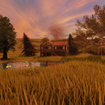 Cozy Sunset Camping