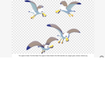 Truth Birds