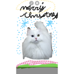 Merry Christmas cool kids