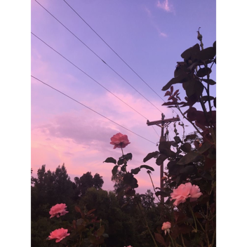 L e a v e 