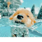 My name is summer