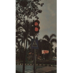 Fᴜɴɴɪᴇs