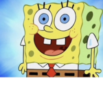 Sponge yellow bob