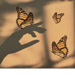 Butterfly twin