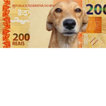 Compras e vendas amém