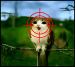 Animal Peace group