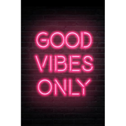 Vibe Nation
