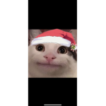 HaTStudios