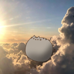 -sunny-skys-