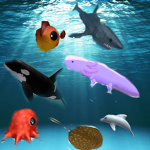 Sea Animal Playground