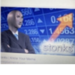 The colt of stonks