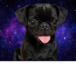 (SA) SpaceAnimals
