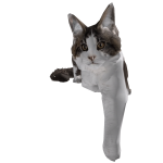 Roblox entity thumbnail