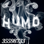 SMOKE-crew