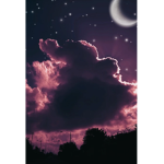 pink sky black sky