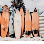 Surf on