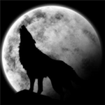 The Demon Wolves Pack