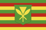 hawaii friend/cousin group