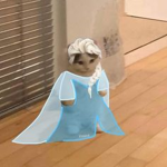 CAT ELSAAA :>