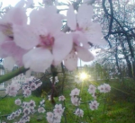 ‘missinghim