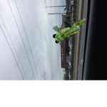 .aa