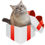blini cat fanpage