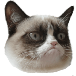 #TheKittySquad