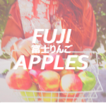 fuji apples