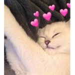 Undertale fandom for Undertale fans