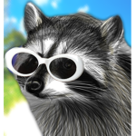Raccoon.