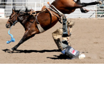 Tricky Broncs