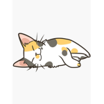 sleepy zzzzz