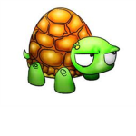 Turtle Shell Warriors