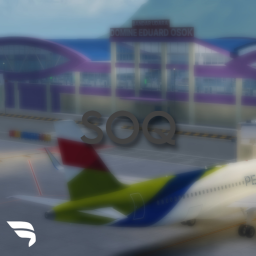 Domine Eduard Osok Airport