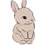 •||Bunny||•||Squad||•